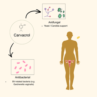 Carvacrol Complex - Oregano Oil