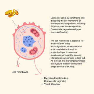 Carvacrol Complex - Oregano Oil
