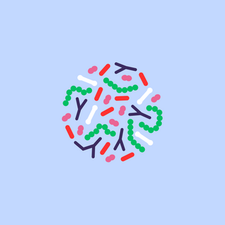 Vaginaal microbioom: Balans vinden